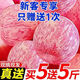 【產(chǎn)地直發(fā)】正宗紅富士蘋(píng)果當季新鮮冰糖心脆甜紅蘋(píng)果水果整箱包 買(mǎi)5斤送5斤到手凈重8.5斤裝 優(yōu)選中果【果徑60-70mm】