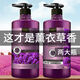 夢(mèng)米雅薰衣草沐浴露香水香氛留香家庭裝女大瓶洗發(fā)水護發(fā)素套裝去屑凈爽 洗發(fā)水1380ml+沐浴露1380ml