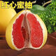 駿灝柚子樹(shù)苗紅心紅肉蜜柚嫁接三紅蜜柚果樹(shù)苗南方北方種植果樹(shù)苗大全 紅心蜜柚 5年苗實(shí)發(fā)兩棵【明年結果】