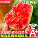 農(nóng)果傳橙廣西紅心芭樂 新鮮番石榴水果胭脂健身輕食低糖孕婦紅心果禮盒 3斤裝【超劃算丨凈果2.5斤】  【金獎A級果 京東配送】