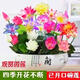 碩雅園藝開(kāi)口碗蓮種子七彩碗蓮荷花水養蓮花盆栽四季開(kāi)花睡蓮觀(guān)賞植物花卉