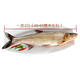大白魚 翹嘴魚 大白刁子魚 翹殼魚 湖北特產(chǎn) 新鮮魚現(xiàn)殺現(xiàn)發(fā) 3斤/條（3條發(fā)4條）