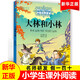 大林和小林 張?zhí)煲碇?中國少年兒童出版社 能打動孩子心靈的中國童話 兒童閱讀故事書課外閱讀書籍