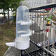 尛寶鳥用飲水器鳥喝水杯鸚鵡自動下料器顛頦繡眼八哥玄鳳自動喂水食器 透明色【飲水食盒兩用杯】