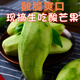 秋嫻【酸芒果】生吃青芒果2025新鮮自制脆水果象牙四季芒酸野廣西特產(chǎn) 生芒果3斤