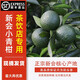 櫻鮮 2025年新會(huì)小青柑鮮果天馬新鮮茶枝柑鮮果大紅果鮮果可去果園 新會(huì)茶飲小青柑10斤【奶茶店榨汁用】