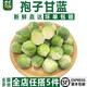 千牛優(yōu)福孢子甘藍500g 新鮮蔬菜 抱子甘藍球芽甘蘭小包菜小卷心菜