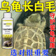 瑞邦烏龜水霉病四肢身上長(zhǎng)白毛白斑巴西龜草龜滅霉菌發(fā)霉專用龜長(zhǎng)毛 五瓶