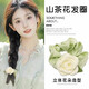 松窗夢(mèng)語夏季超仙山茶花大腸發(fā)圈女高級(jí)感氣質(zhì)頭繩扎馬尾皮筋氣質(zhì)百搭發(fā)圈 網(wǎng)紗山茶花發(fā)圈【綠色】