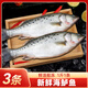 東上御品 國產(chǎn) 生鮮魚類 新鮮冷凍整條海鱸魚凈重3斤/3條-源頭直發(fā)