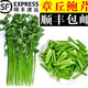 御農(nóng)優(yōu)品 山東章丘鮑芹香芹芹菜新鮮蔬菜香脆無絲新鮮鮑香芹嫩芹禮盒裝 4斤鮑芹禮盒裝