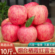 譯優(yōu)農山東棲霞紅富士蘋(píng)果水果新鮮當季脆甜紅蘋(píng)果特產(chǎn)整箱 帶箱9.5-10斤大果【精選裝】