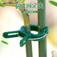 斯柏克  爬藤植物固定夾子月季番茄黃瓜卡扣秧苗蔬菜花架撐桿綁蔓夾支撐 【小號30個(gè)】綠色彈簧夾—可夾2.8cm