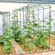 衛(wèi)東包塑鋼管支架桿家用植物花架子室外庭院架桿豆角黃瓜爬藤架番茄架 直徑8mm長150cm【10支裝】