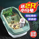爬將軍烏龜缸家用巴西龜鱷龜專用別墅屋魚缸帶曬臺養(yǎng)小烏龜飼養(yǎng)缸生態(tài)箱 大號缸（贈2只龜+禮包）