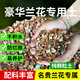花大師蘭花植料純顆粒蘭花專用土盆栽土種植營養(yǎng)土養(yǎng)花小石頭透氣不爛根 蘭花豪華顆粒土 5斤 貴苗專用