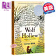 狼洞之夜 英文原版 Wolf Hollow 2017年紐伯瑞銀獎 兒童文學(xué)小說 8-12歲