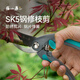 張小泉張小泉剪枝果樹(shù)修枝剪刀園藝修剪樹(shù)枝園林花藝師剪花專(zhuān)用剪刀神器 春悅·潤系列整枝剪215