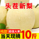 枝遙（ZHIYAO）【現(xiàn)貨】河北皇冠梨10斤裝新鮮水果梨子當(dāng)季雪花梨酥梨脆甜無(wú)渣 皇冠梨 帶箱5斤