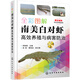 全彩圖解南美白對蝦高效養(yǎng)殖與病害防治