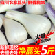 囧仙子新鮮蕎頭去葉蕎頭薤白茭頭藠頭教頭時令特產(chǎn)當(dāng)季蔬菜 5斤 蕎頭