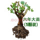 8年玫瑰老樁花苗玫瑰盆栽花卉觀賞花植物陽臺室內(nèi)室外盆栽地栽花老樁薔薇花多次開花 混搭【23號】隨機(jī)5棵裝 不含盆