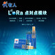 有人 無線數(shù)傳模塊lora模組3500m遠距離低功耗收發(fā)一體WH-L102-L-P 點對點 3500米（關(guān)注加購享優(yōu)先發(fā)貨）