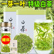 匯春茗2025新茶珍稀白茶【蘭花香】正宗高山茶葉雨前綠茶濃香袋裝罐裝 【一級(jí)】雨前白茶罐裝250克