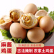 云依禾農莊 麻醬雞蛋咸香流油麻醬雞蛋熟食雞蛋 10枚裝