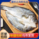只發(fā)新疆干冰開(kāi)背海鱸魚(yú)600克±50*3條鮮活速凍免去腮去腸去魚(yú)鱗