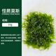 AIPHAROW散裝莫斯劃算陰性水草慕斯沉木造景草缸三角怪蕨垂淚新手入門莫絲水草 散裝怪蕨莫斯10克