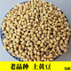 黃豆生的今年云南特產(chǎn)新貨老品種土黃豆新鮮大豆打豆?jié){用非轉(zhuǎn)基因 土黃豆【5斤】