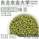 學(xué)子飯桌東北農大學(xué)生社團有機綠豆 新鮮皮薄農家煮粥熬湯發(fā)豆芽 大粒新豆 有機綠豆500g*4袋