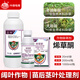 華星皇榜 24%烯草酮銅油菜田大豆田一年生禾本科闊葉雜草除草劑 農(nóng)藥 200ml