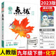 2023新版點(diǎn)撥九年級(jí)化學(xué)下人教版R版