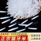 饞貝道貓牙米泰國香米形狀長粒香大米絲苗米煲仔飯專用米大米軟糯香壽司 泰香貓牙米20斤