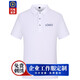 釉郝印夏季工作服定制polo工衣t恤訂短袖文化衫印字logo定做廣告衫刺繡 【B-賽絡(luò )紡襯衫領(lǐng)】白色 XL