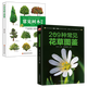 【包郵】世界園林植物與花卉百科全書種花養(yǎng)花書籍 2冊209種常見花草+樹木圖鑒