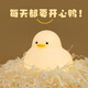 半點(diǎn)創(chuàng  )意（BANDIAN ORIGINALITY） 小夜燈嬰兒喂奶燈起夜燈護眼充電宿舍睡覺(jué)氛圍燈插電 團團鴨