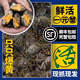 【活蟹】螃蟹鮮活小閘蟹滿(mǎn)黃全公母一元蟹小河蟹香辣蟹毛蟹生鮮 公母0.3-0.5兩一元蟹30只送10只