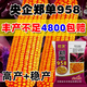壯漢農科院國審玉米種子大全鄭單958高產(chǎn)矮桿抗倒抗旱大棒新品種苞谷 活稈成熟【3斤】南北通種芽率高
