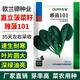 歐雅菠菜種子春秋越冬耐寒直立深綠圓葉大葉紅根波菜子種趴地菠菜籽種 雅菠101【300g/袋】