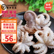 時(shí)寐東山縣澳角村海捕小章魚(yú) 八爪魚(yú) 新鮮活凍 深海海鮮 軟體水產(chǎn)海鮮 8-12個(gè)/ 400g(凈重)