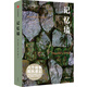 記憶墻（安東尼·多爾作品） 中信出版社 小說