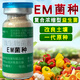 益富源EM菌種植專(zhuān)用原種原粉農(nóng)用益生菌復(fù)合菌微生物菌劑有機(jī)肥發(fā)酵滴灌 EM菌種（1瓶）