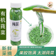 騎猴趕馬（產(chǎn)地直發(fā)）蘇州太湖莼菜 新鮮有機(jī)蔬菜 利川西湖莼菜野菜馬蹄菜 新鮮采摘-產(chǎn)地直送 6瓶【300g/瓶】瓶裝
