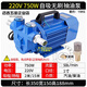 12V24V220V大流量防爆泵電瓶無刷電機(jī)靜音抽油泵汽油柴油自吸抽油 220V 750W自吸無刷防爆泵