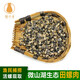 貓撲魚（mao pu yu） 新鮮田螺肉【精品】 新鮮大田螺 螺絲肉 泥螺 螺螄粉肉 精品大號螺肉 1kg