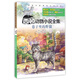 西頓動(dòng)物小說(shuō)全集·巷子里的野貓