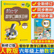 幫你學(xué)數學(xué)口算練習冊六年級下冊上冊人教版RJ小學(xué)6年級上下數學(xué)口算速算心算巧算教材同步 六年級上冊 人教版 幫你學(xué)
